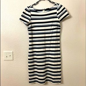 Ann Taylor Dress